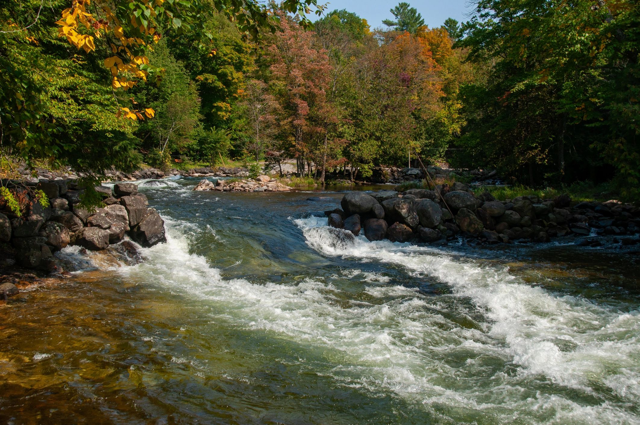 Forest river rapid flowing over rocks in Ontario