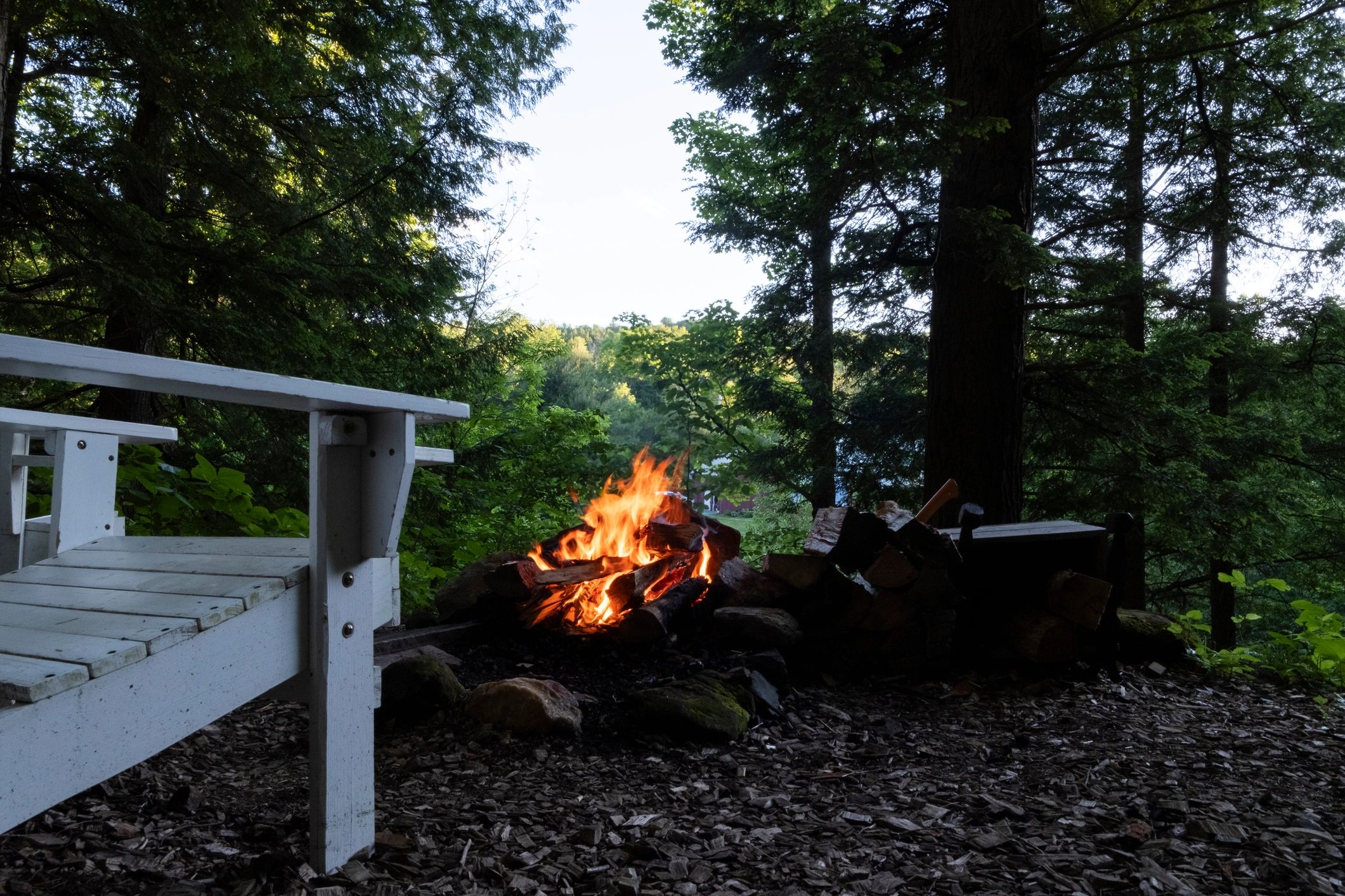 Evening campfire in a wooded clearing